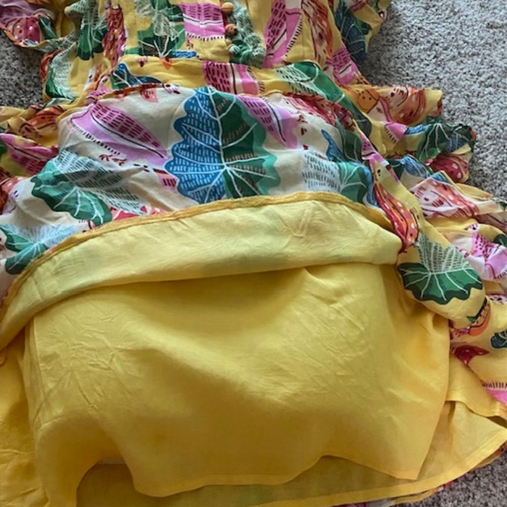 Farm Rio Shirt Dress - Picture 4 of 4